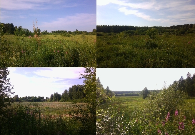 Кончается лето на Среднем Урале...