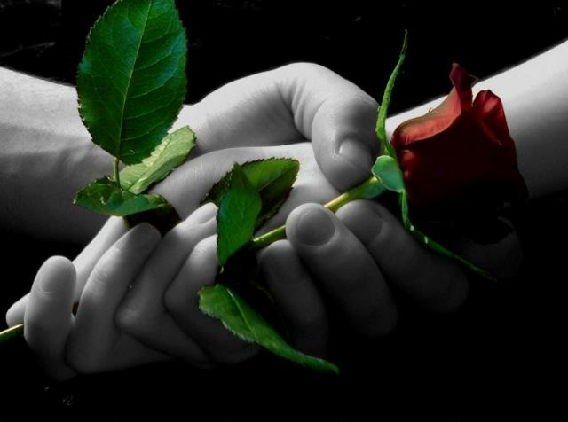 Она писала свой роман