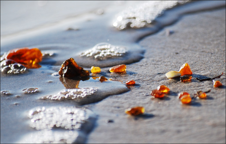 Балтийский берег