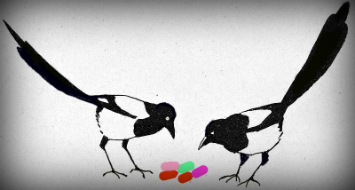 Сороки и конфеты