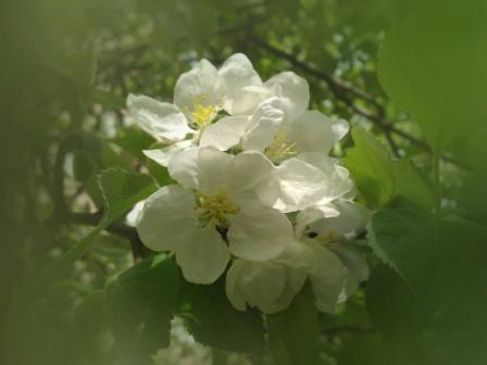 Весенний вечер