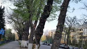 Жара