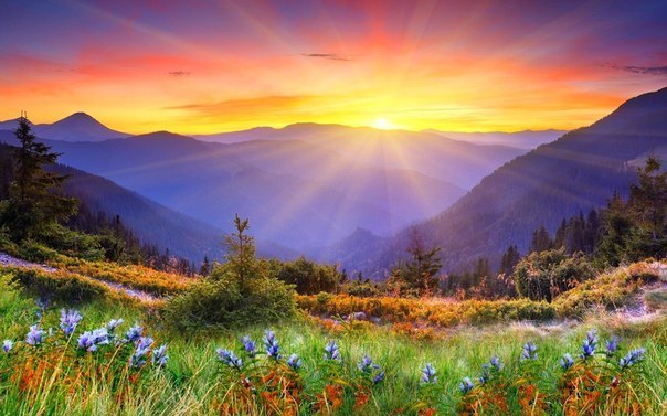 Люблю я летние рассветы!