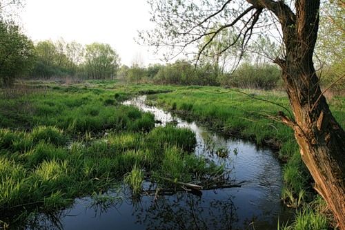 Душа заплакала...