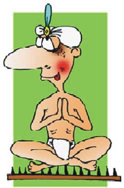 Встреча с йогом