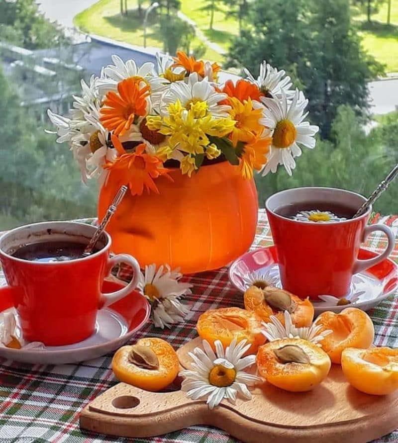 Лето красное шагает...