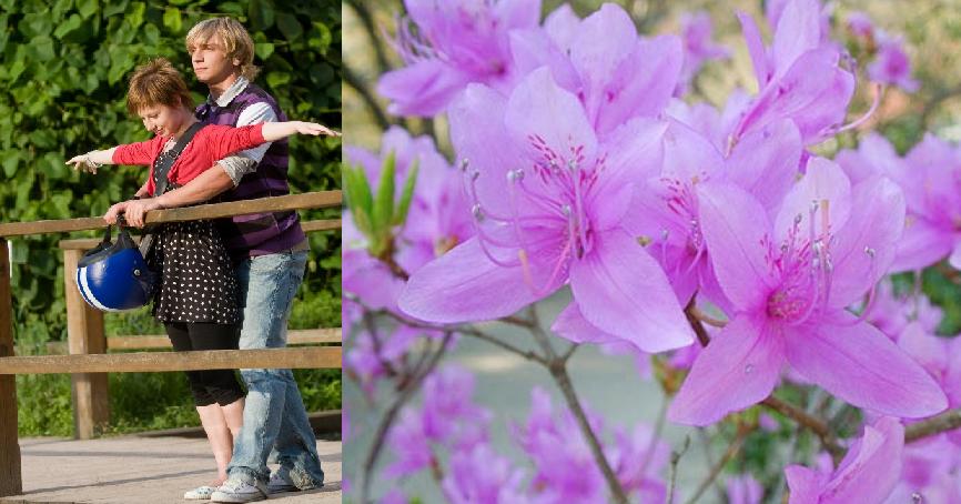 Люди любили и были счастливы во все времена