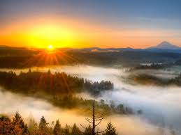 Солнце в туманных рассветах