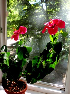 Рассуждения не на пустом месте