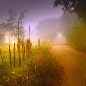 В тумане бреду