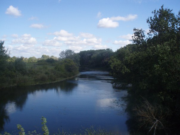 Поэтам россии