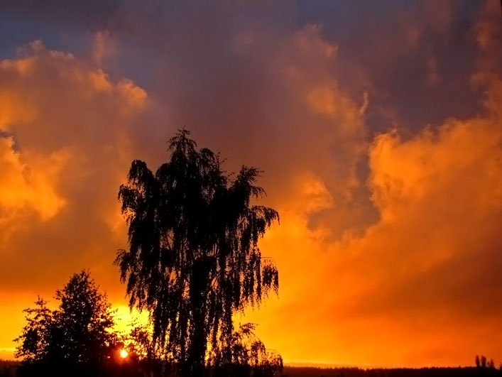 пепел развеет ночи суть...