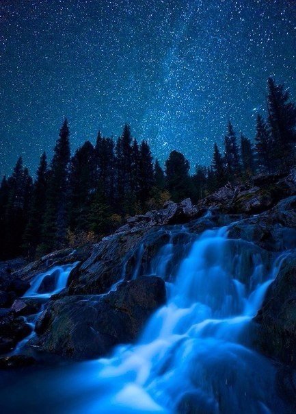 Я знаю, что вы жаждете уйти...