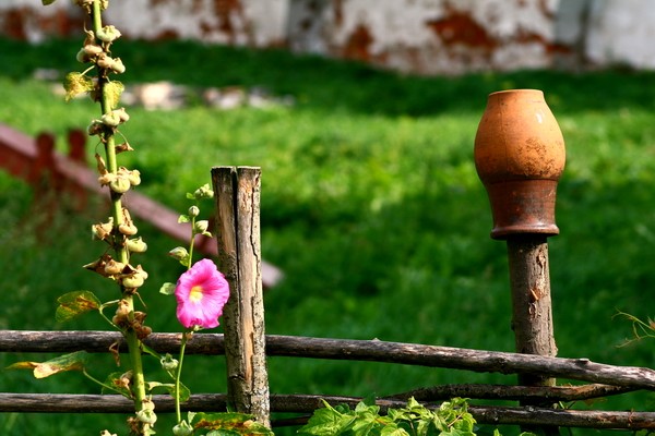 Хорошо и тут