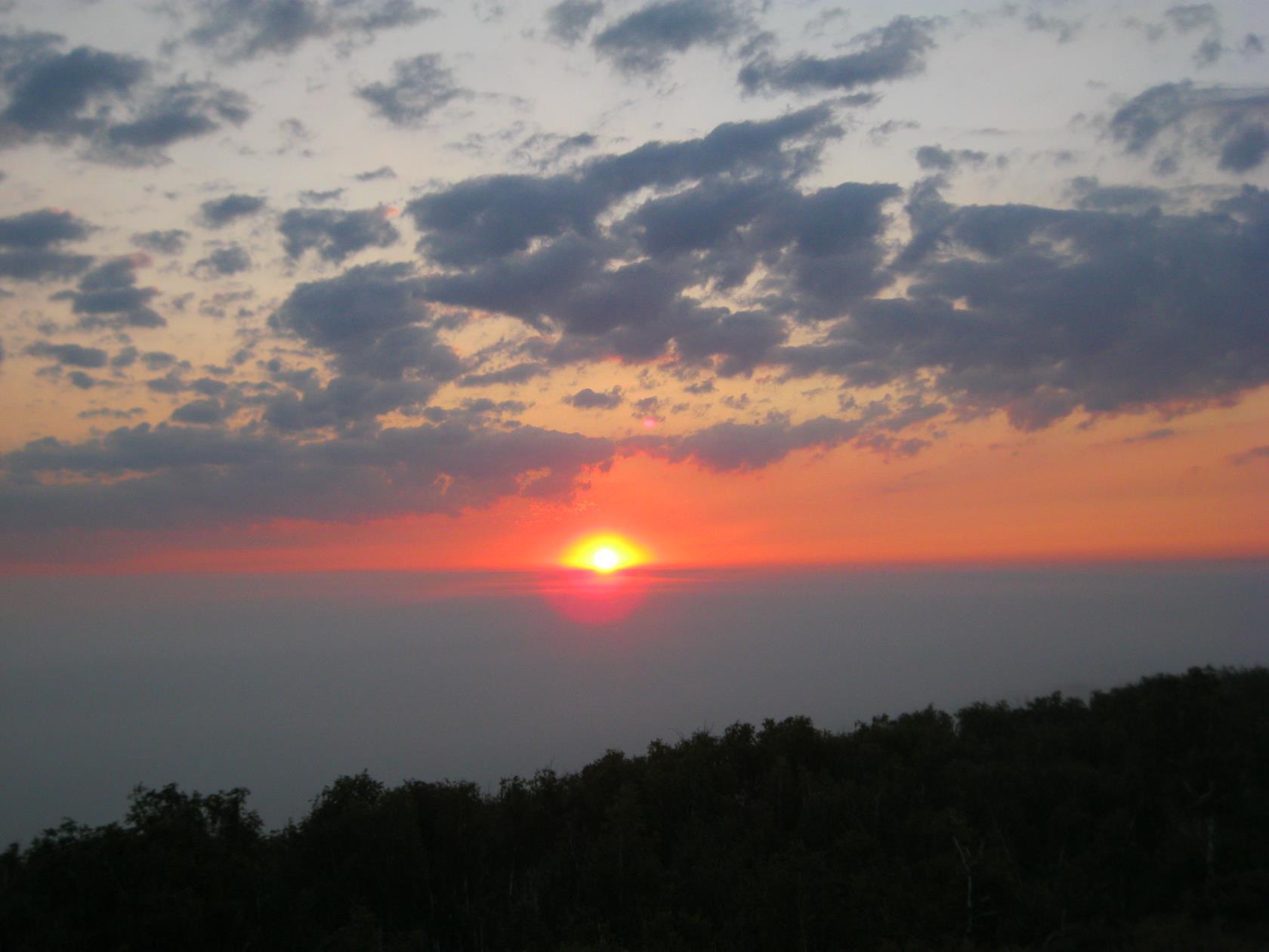 Серебром степь ковыльная светится