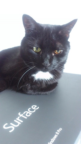 За что люблю кота...