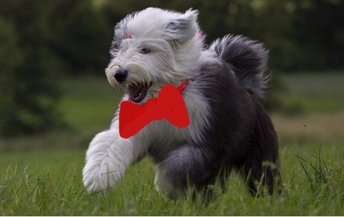 Июньское доброе утро