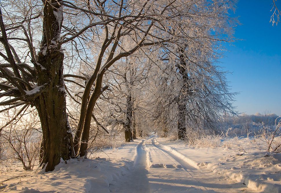 Экспромт на фото - на заброшенной дорожке