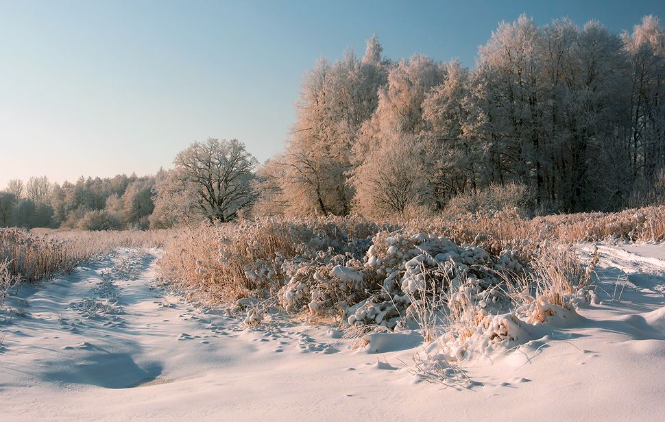 Экспромт на фото - январский мотив