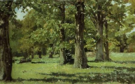 В дубовой роще