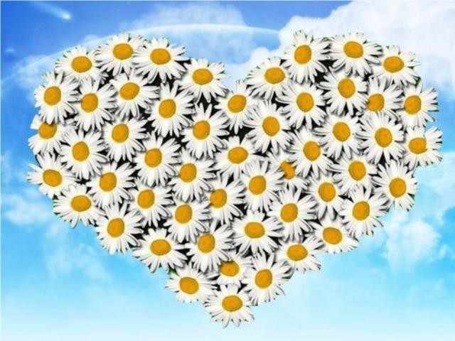 Гадание на ромашке