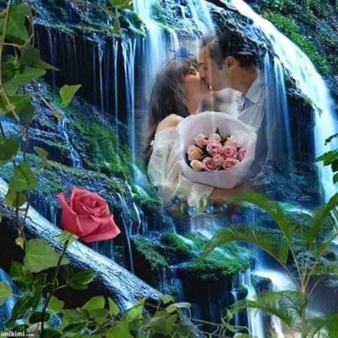 Единственному любимому посвящается