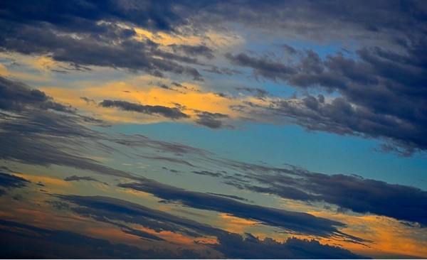 и гордость Царицы...