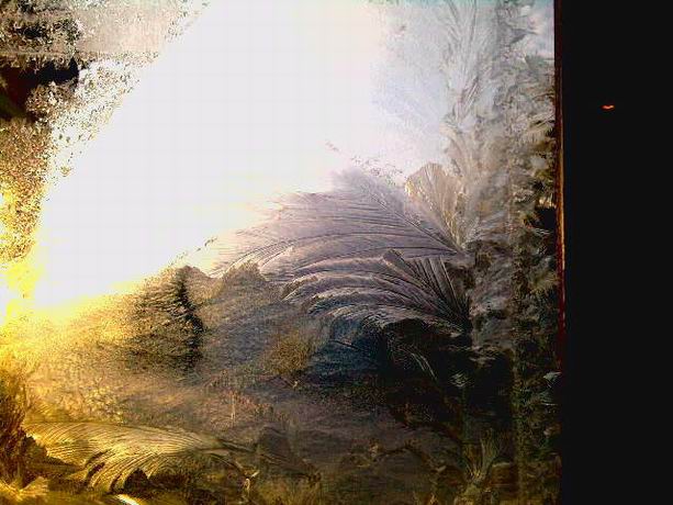 Первый книгопечатник