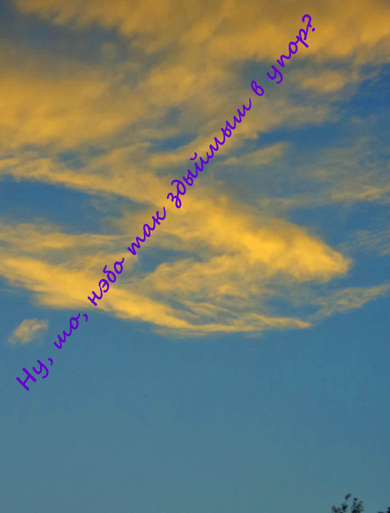 Аднадумцы жэ нам бисункы