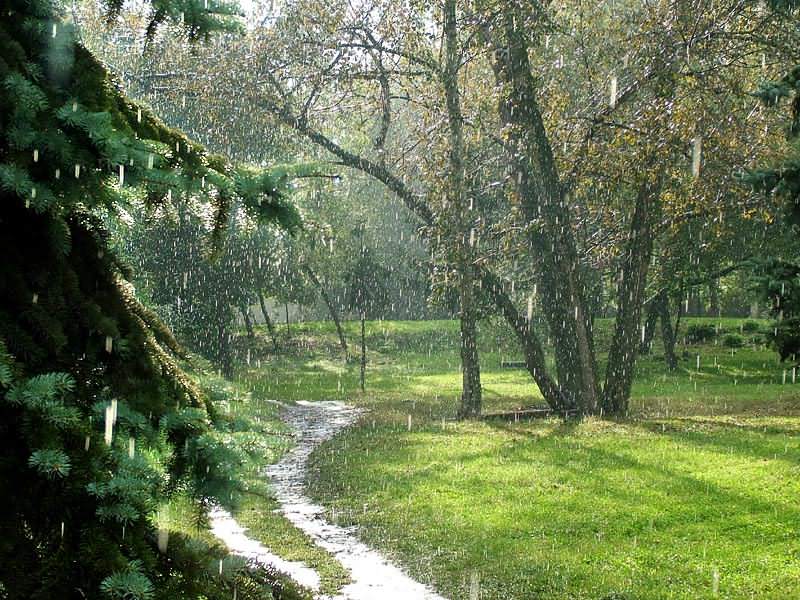 Июльский дождь