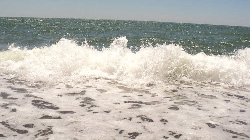 О, сколько первородной дикой страсти!