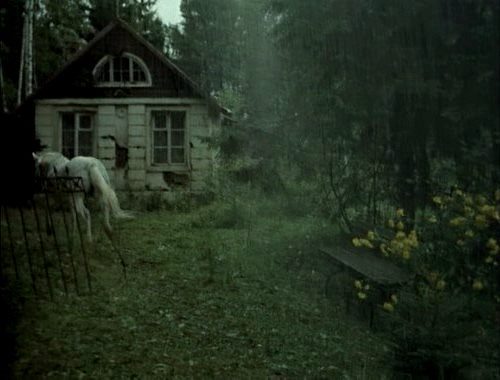 Рождённые летней ночью...