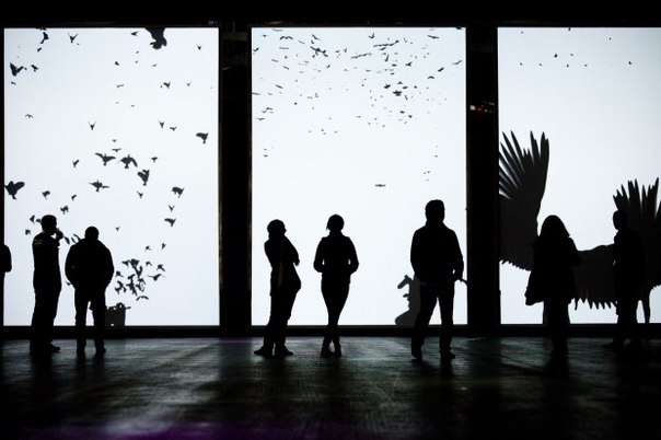 В этом фильме я мелкий камео...