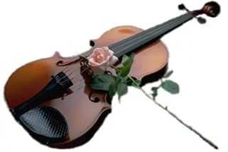 За окном где-то плачет скрипка