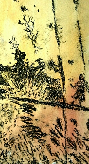 О собачьей жизни