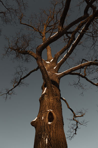 В ожидании цветовой чудности