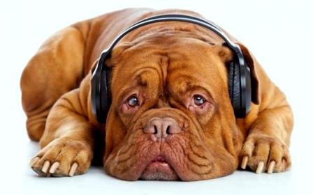 Мне кажется...