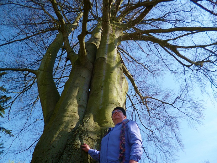 Abgestimmten Organismus