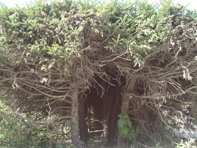 Все не напрасно...