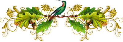 Человек, что жаждет совершенства