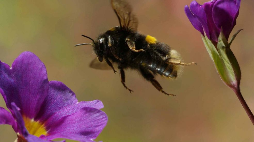 На вершине. 23. 07. 2016