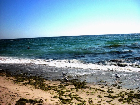 Рассвета бирюза