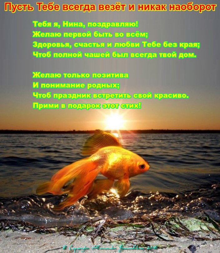 пусть пожелания. пусть тебе всегда везет. мешок счастья. золотая рыбка исполняет желания. удачи тебе во всём и всегда.