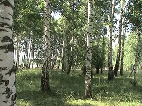 В милом уголке