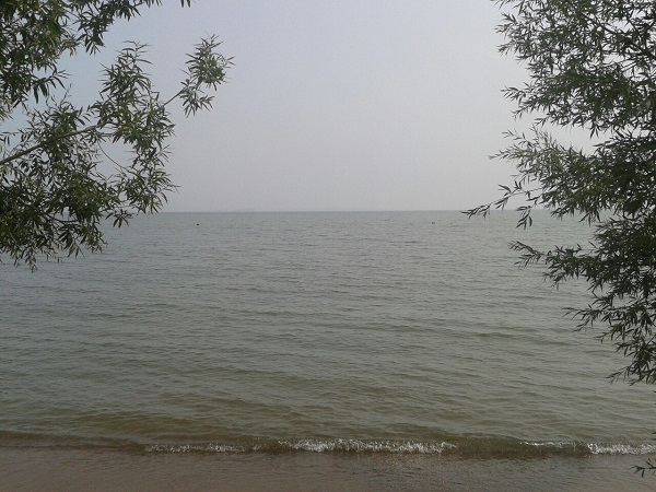 Книга жизни...