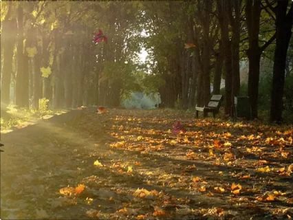 За счастьем...