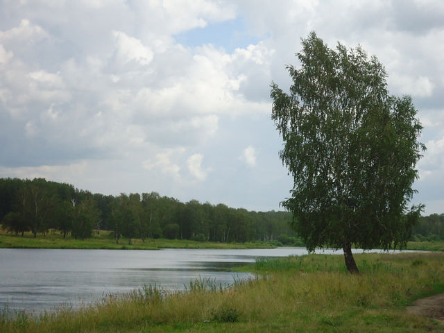 Научиться бы жить...