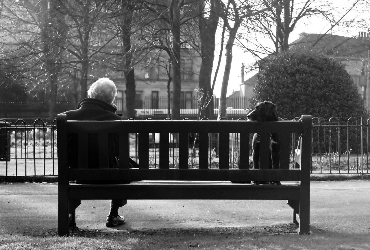 Грусть старика. Одинокая женщина на скамейке. Человек на скамейке. Старик на скамейке. Одиночество пожилых.