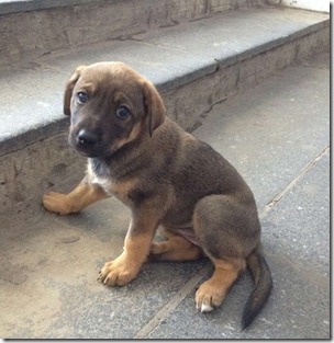 Еще не понял он того, что...