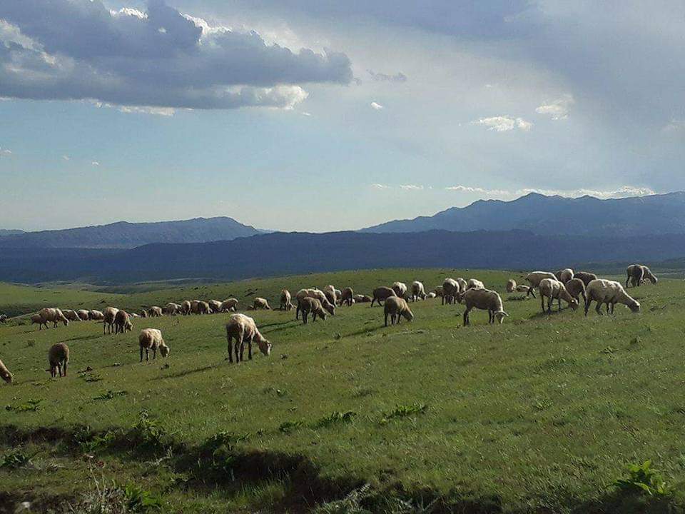 Как много творчества! Рождаются стихи